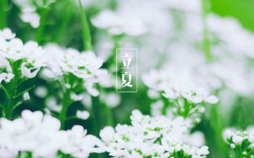 2022年立夏往后热不热 2022年立夏气温多少度