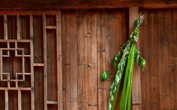 羊年端午节出世的孩子命运！端午节插在门上的是什么？