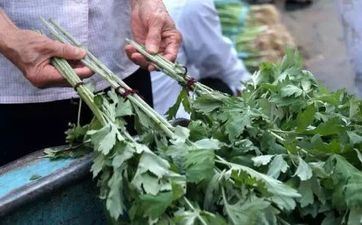 端午节的风俗和摄生攻略