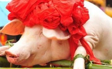 2023年小寒领证好吗 领证的祝愿案牍超甜