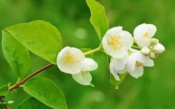 2022年春分往后白天长仍是黑夜长