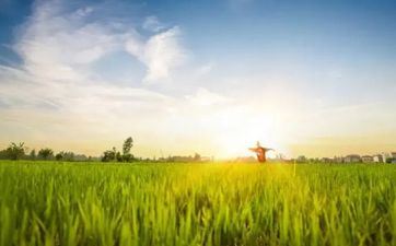 2022年夏至是哪一天,夏至是白日最长的一天吗?