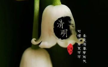 清明节上坟不能超过几点