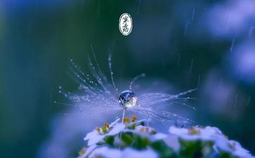 寒露风是什么意思?你有必要知道的寒露训练留意事项!