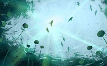 大溪流命最怕啥 大溪流命怎么解析