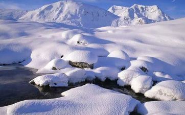 2023大寒前上坟仍是大寒后上坟