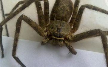 手机尾号选7770怎么样