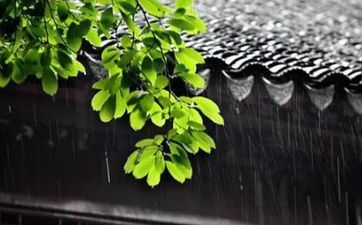 什么时候回家躲端午？端午节躲午要躲几天