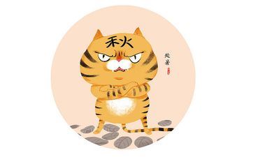 2022年74年属虎49岁变节婚姻吗，应该怎么防止烂桃花