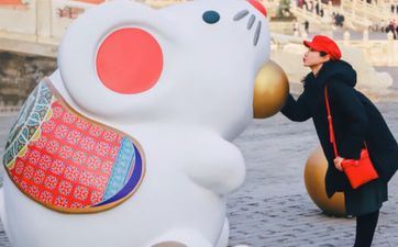 84属鼠2022年工作方向 让自己工作更上一层楼