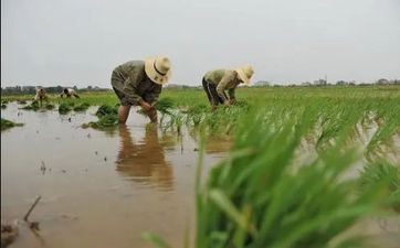 2022清明节上坟是不是要分长幼