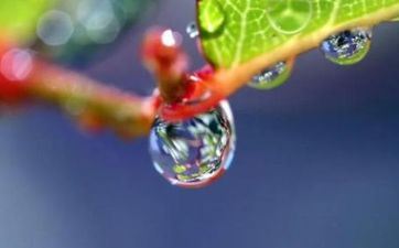 白露吃什么传统食物节气 应季食物摄生健康