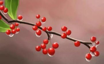 白露节气的传统风俗及摄生诀窍 白露节气的传统风俗及摄生诀窍