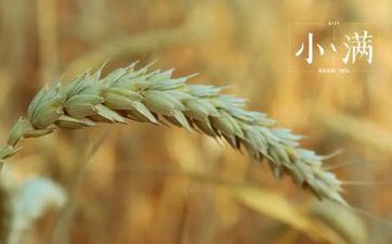 小满节气能够领证吗2022