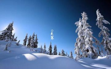 2024年大寒会不会下雪