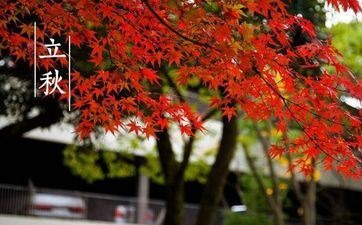 立秋节气代表了什么 二十四节气立秋的意义是什么