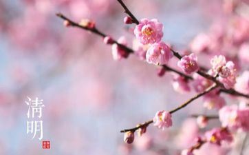 清明节的民间习俗及食物