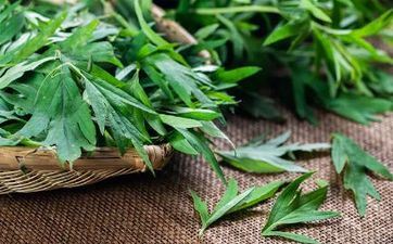 2022年端午节有哪些忌讳