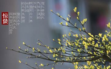 惊蛰是第几个节气 农耕节律休戚相关