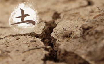 丙辰丁巳沙中土命理解析 丁巳年生沙中土命好不好