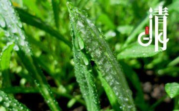 清明节不能做什么 有什么忌讳要留意