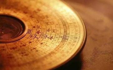 银柳干花放在家里好吗 干花在风水上的忌讳