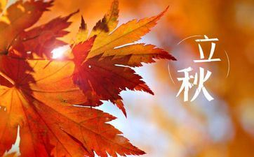 哪两个节气被描绘为上蒸下煮 立秋为什么酷热