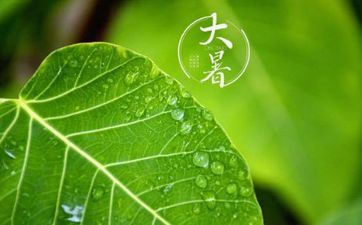 大暑节气的传统风俗及传统美食