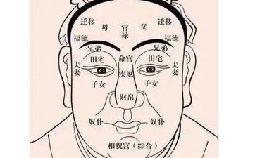 哪种面相的宝宝天然生成聪明