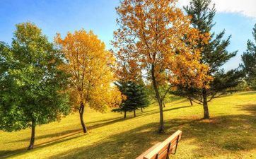 秋老虎的留意事项 留意饮食安稳心神