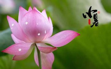 小暑节气的风俗活动及摄生关键