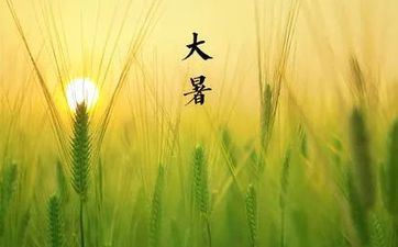 大暑节气饮食三关键 大暑节气饮食三关键