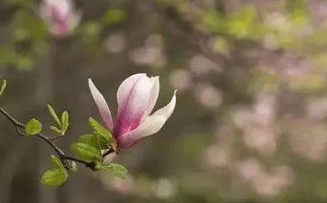 2023年立春是几月几号几点 立春有什么风俗 2023年立春是几月几号几点 立春有什么风俗