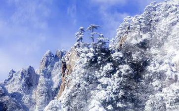 大寒是最冷的节气吗 大寒是一年中最冷的时分吗 大寒是最冷的节气吗 大寒是一年中最冷的时分吗