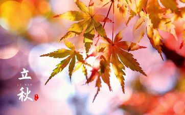 立秋的俗话是什么 描述立秋后凉快的俗话