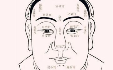 贵人面相多娟秀 灵慧秀气出路光亮福泽深沉