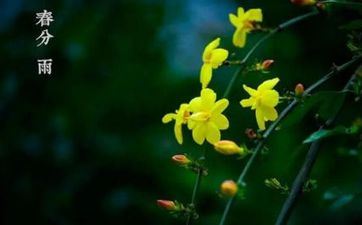 2022年春分是好日子吗