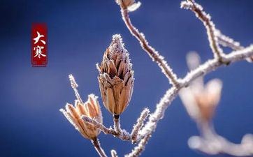 2022年龙抬头理发吉时，二月二是什么节日？