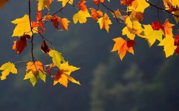 立秋节气的活动及传统风俗