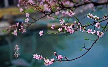 2022年春分是几点几分几秒 春分风俗立蛋的说法