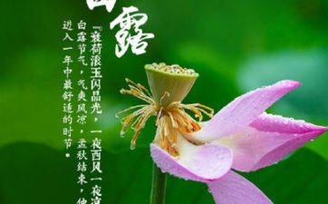 白露财神在哪个方向?2022年白露吉时财神方位? 白露财神在哪个方向?2022年白露吉时财神方位?