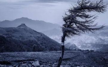 惊蛰节气的传统风俗及留意事项