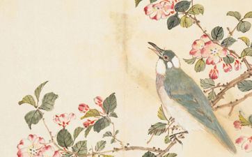 捡到小鸟是不吉祥的吗