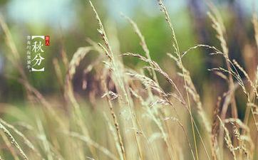 2022年秋分在几点几分几秒交节？秋分有啥传统风俗