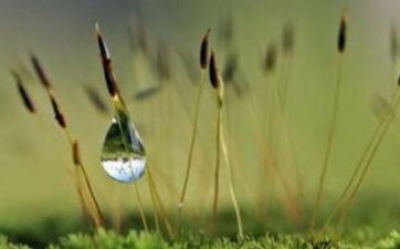 黑曜石五行属火仍是水 黑曜石究竟属火仍是属水的 黑曜石五行属火仍是水 黑曜石究竟属火仍是属水的