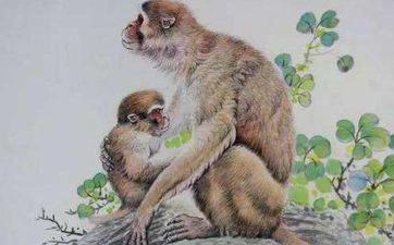 属猴的女性嫁给属马的怎么样 猴马的婚配宜忌