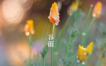 2022谷雨是几月几日几点几分？2022年是旱年仍是涝年