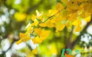 立秋的民间风俗 立秋有哪些传统风俗