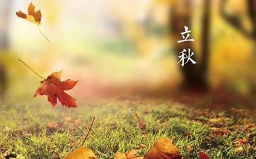 立秋之后，迎来隆运的3个星座，工作欣欣向荣，日子满心欢喜