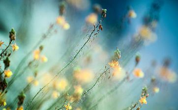 2022年立夏时刻几点几分几秒 2022年立夏是什么时分